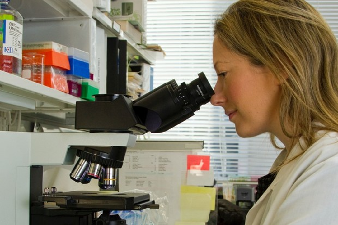 Forskning på meditasjon