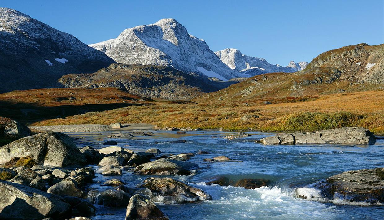 Våger du den veldige stillheten?