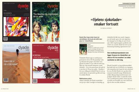 Tungt fagblad mener: Tidsskriftet Dyade stadig på høyden