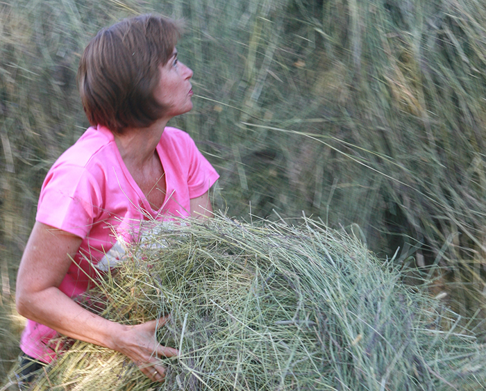 Hva gjør du når uroen uteblir?