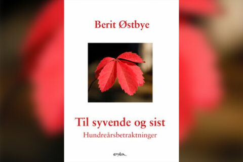 Bok: Til syvende og sist - Hundreårsbetraktninger