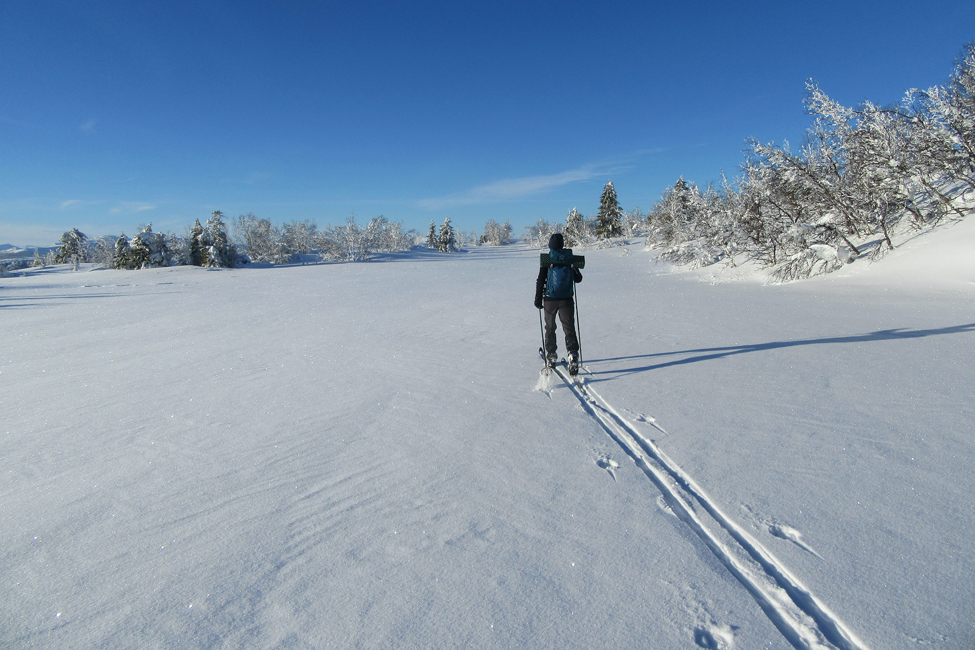 Meditasjonskronikk: I oppkjørte spor?