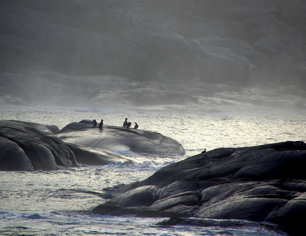 Bli med til stillheten