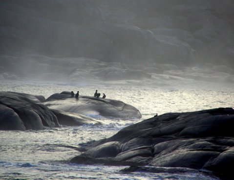 Bli med til stillheten