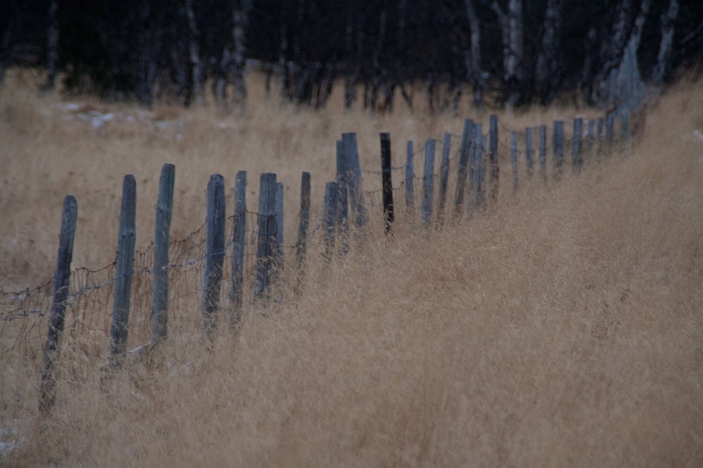 Lunsjprat om stillhet – talepunkter fra fordypelseskurs