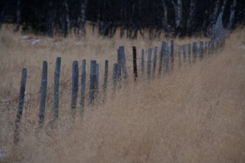 Lunsjprat om stillhet – talepunkter fra fordypelseskurs