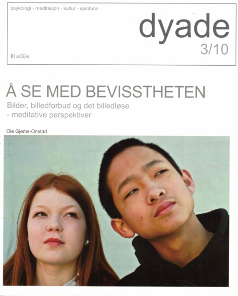Dyade 2010/03: Å se med bevisstheten