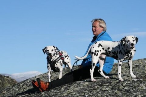 Traumebearbeidelsens gentleman