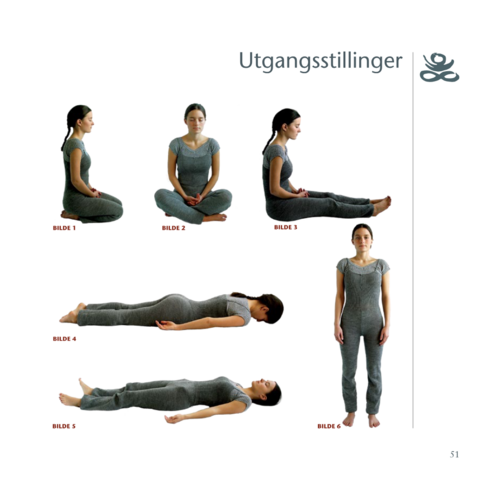 Seks utgangsstillinger fra Yogaboken